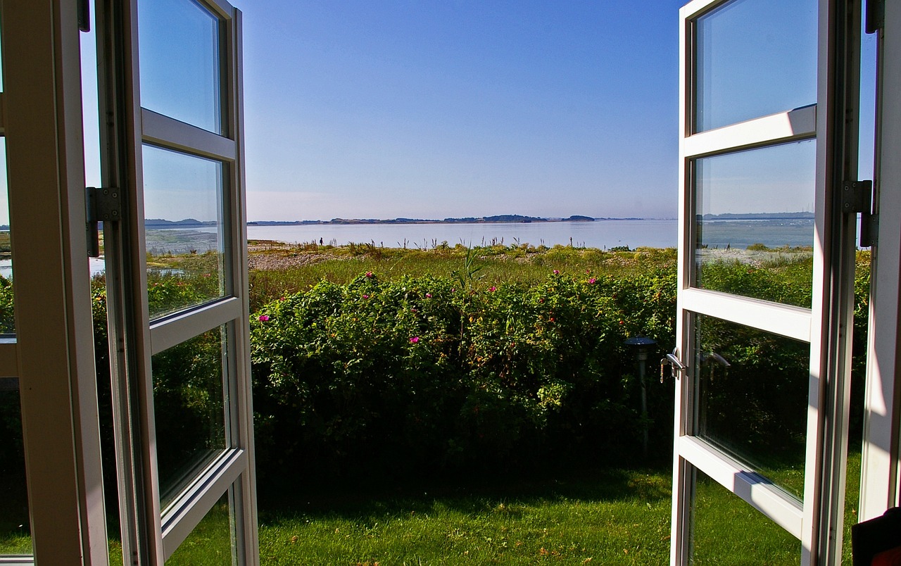 outlook, window, nature